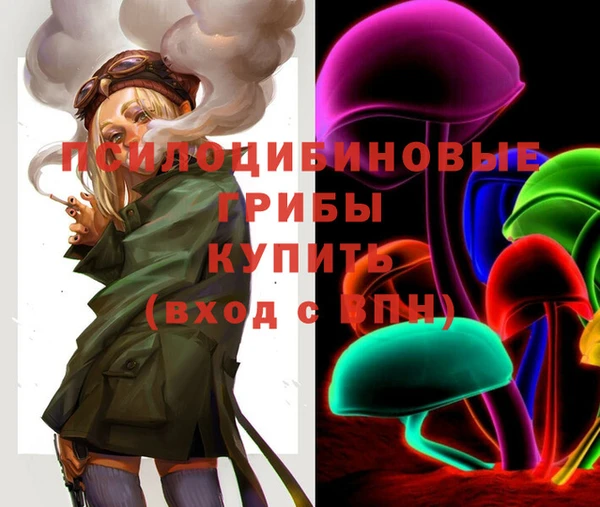дживик Зеленодольск