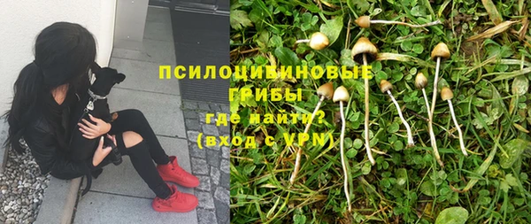 ешки Зерноград